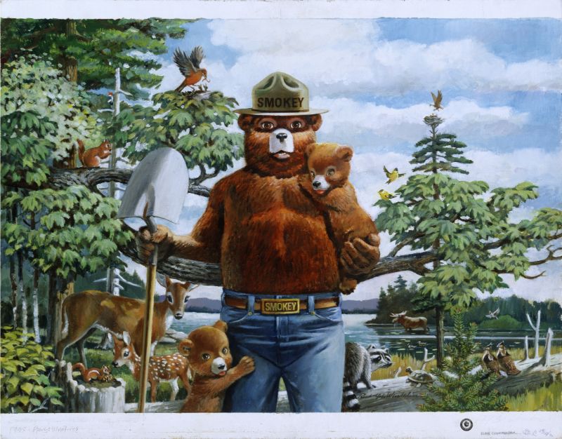 The Incredible Origins Of One Of The Most Iconic Cartoons: Smokey Bear