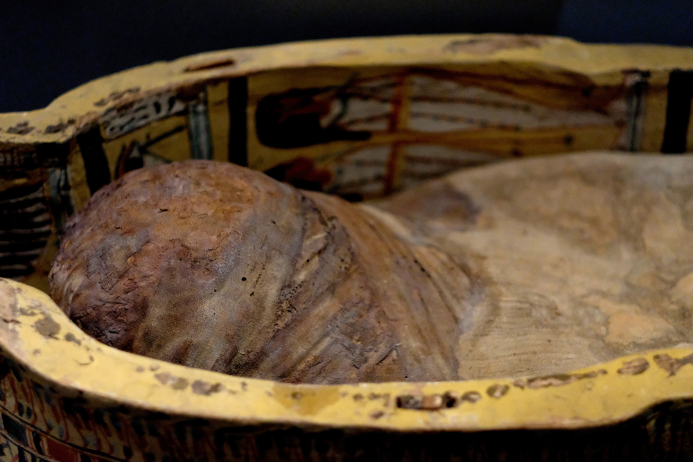 The hidden discovery from ancient Egypt