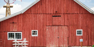 Why are barns always painted red?